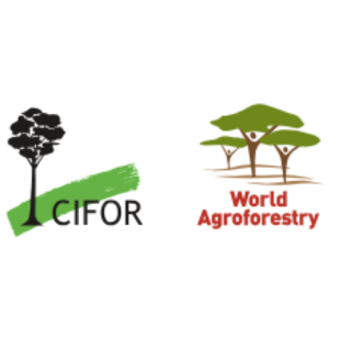 CIFOR