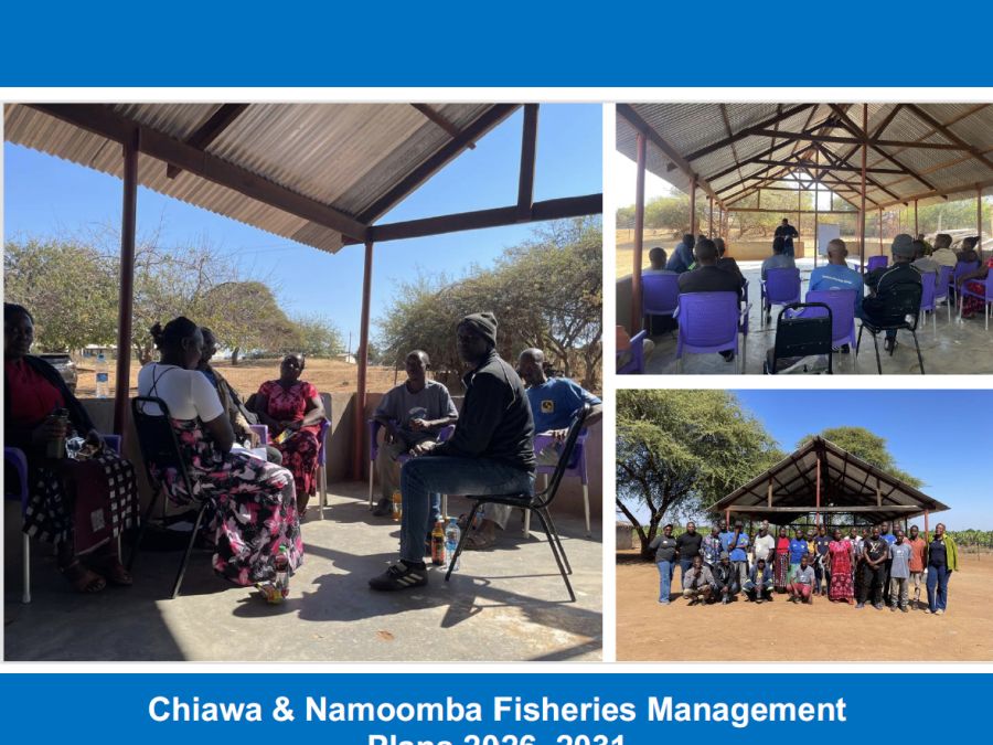 Conservation International - Sustainable Financing Framework