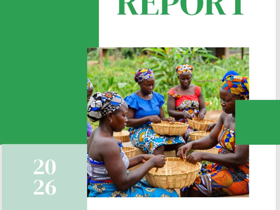 Zambia AgroForestry & Climate - Finance Readiness