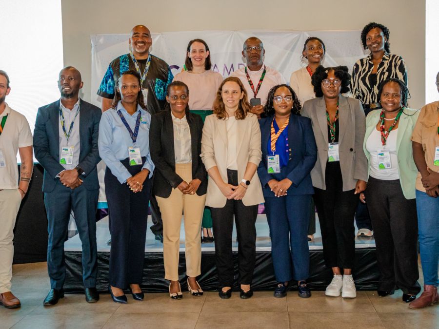 Investor Materials for Impact Capital Africa