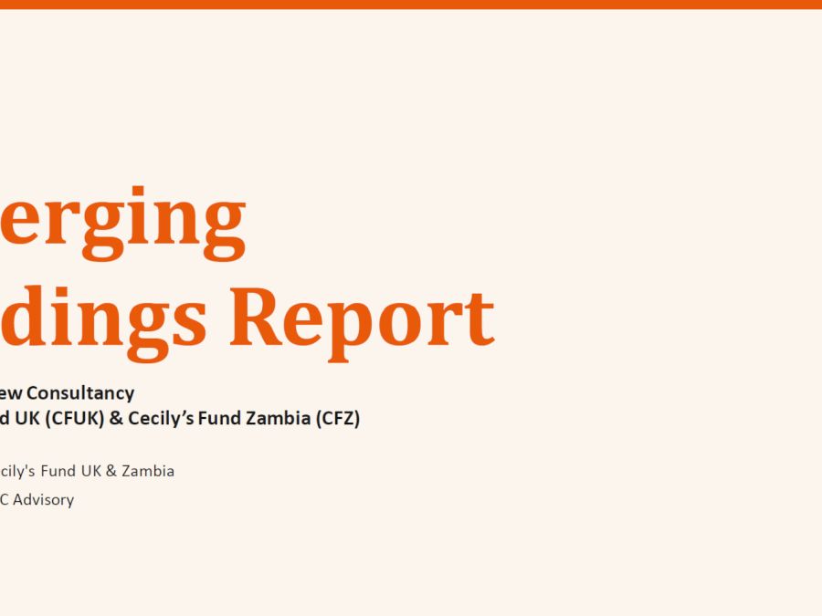 Cecily's Fund - Strategic Review
