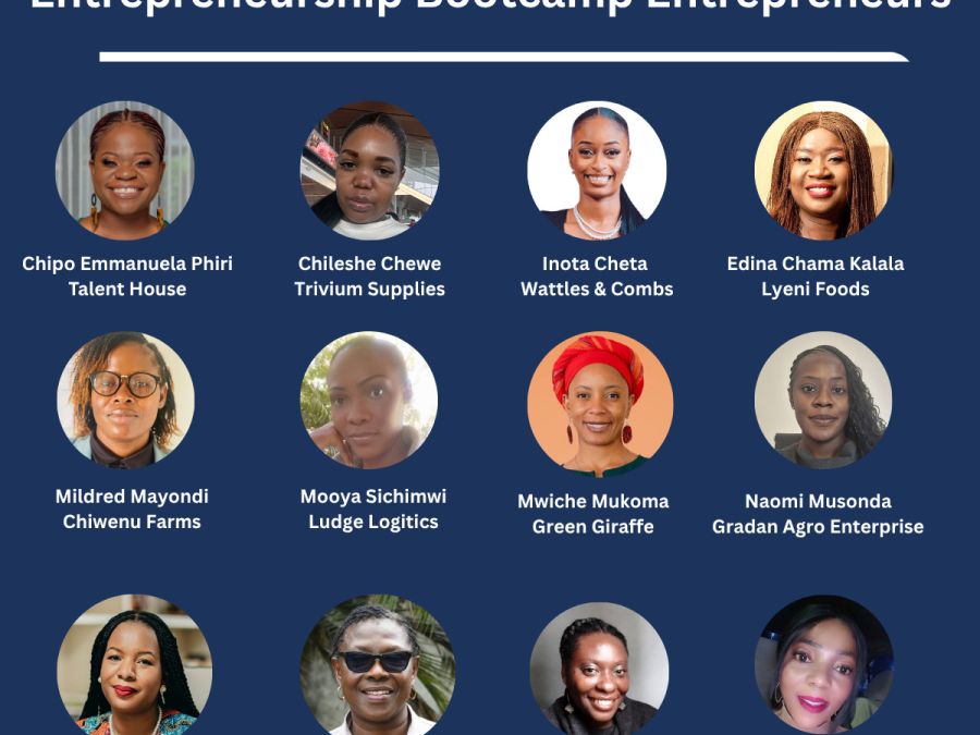 Women's Entrepreneurship Programme